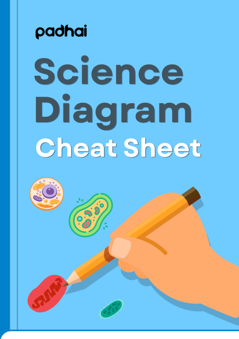 Science Diagram Cheatsheet Class 10